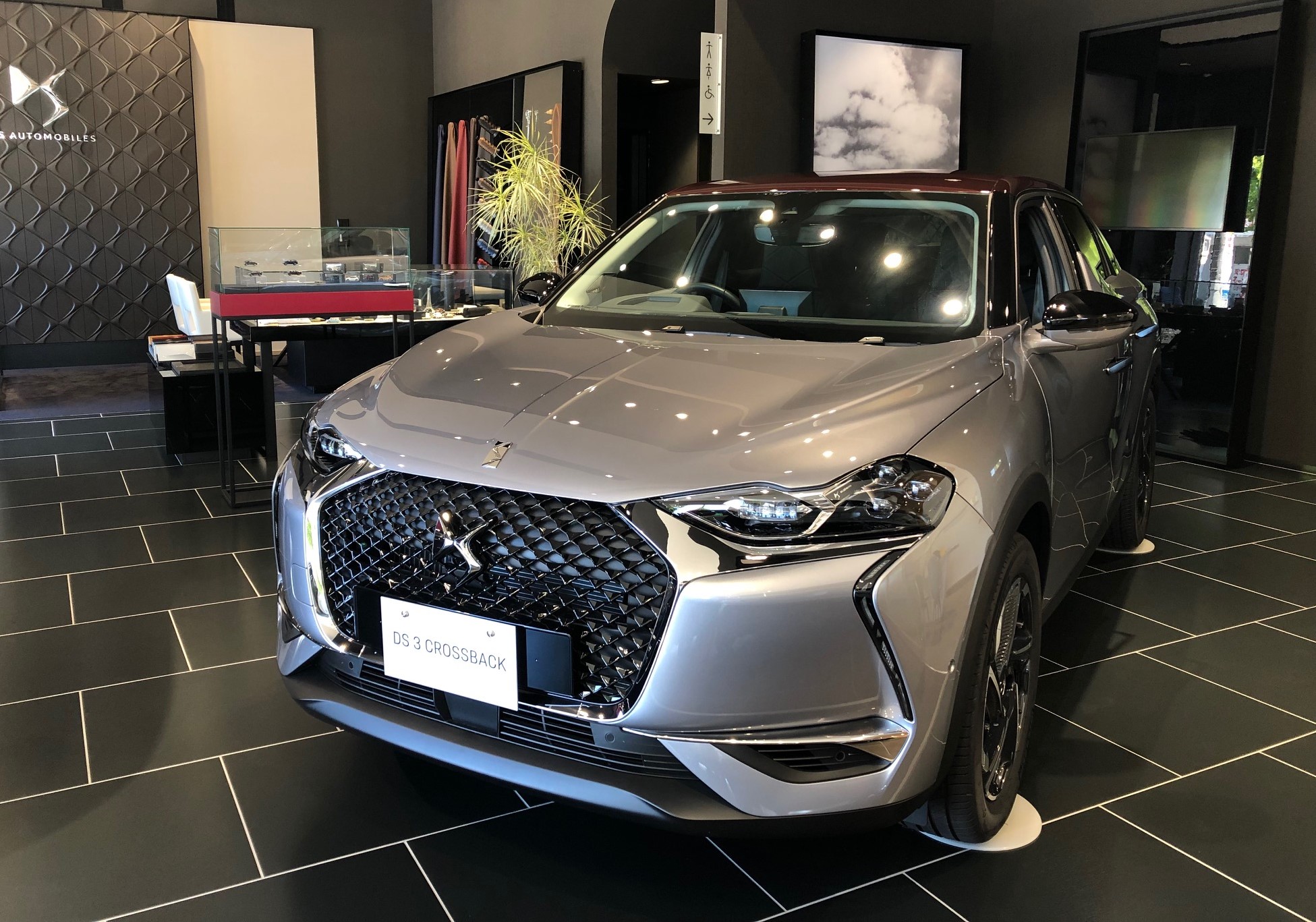 DSカラー ～DS3CROSSBACK～
