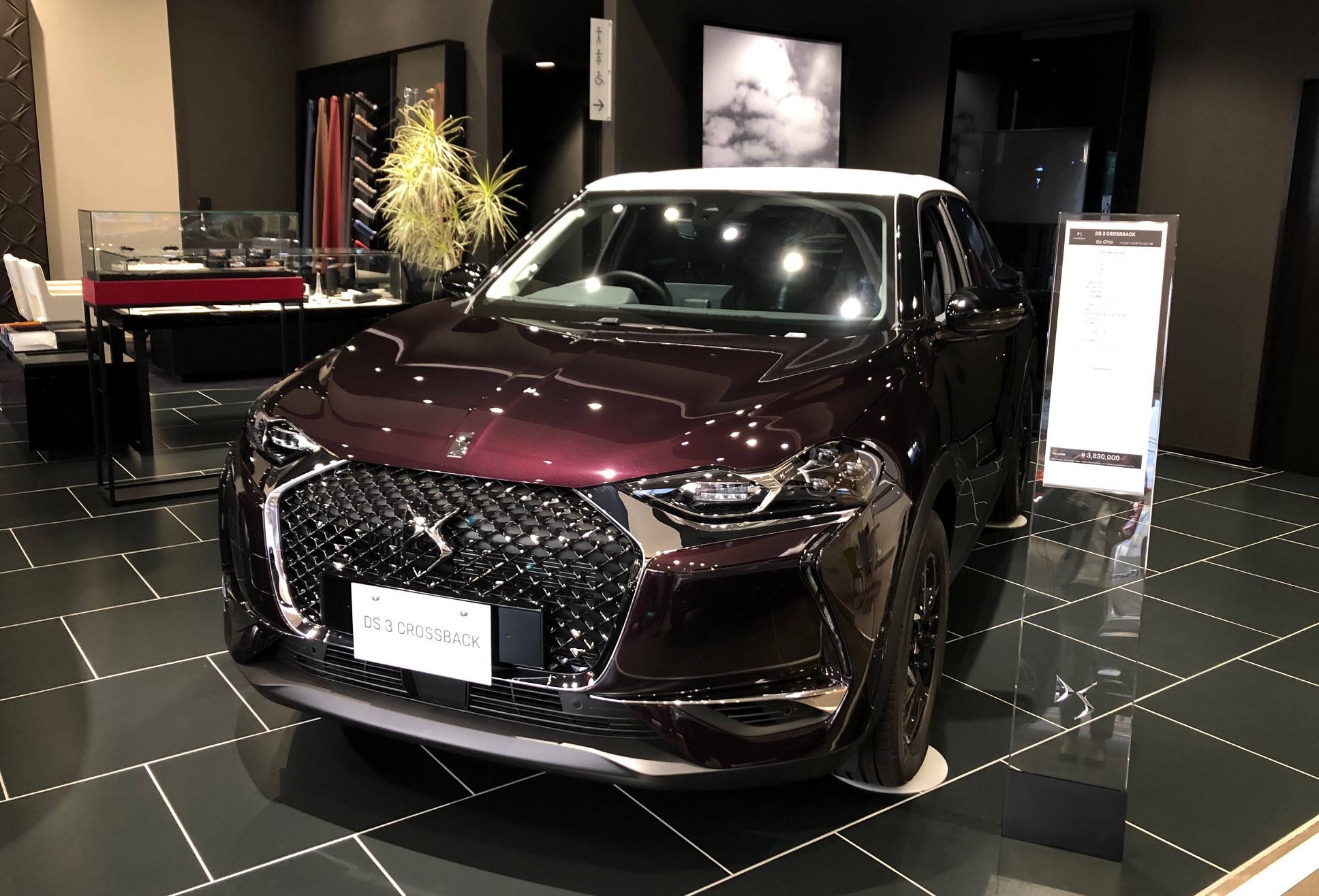 DSカラー ～DS3CROSSBACK～