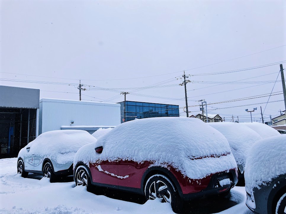 雪