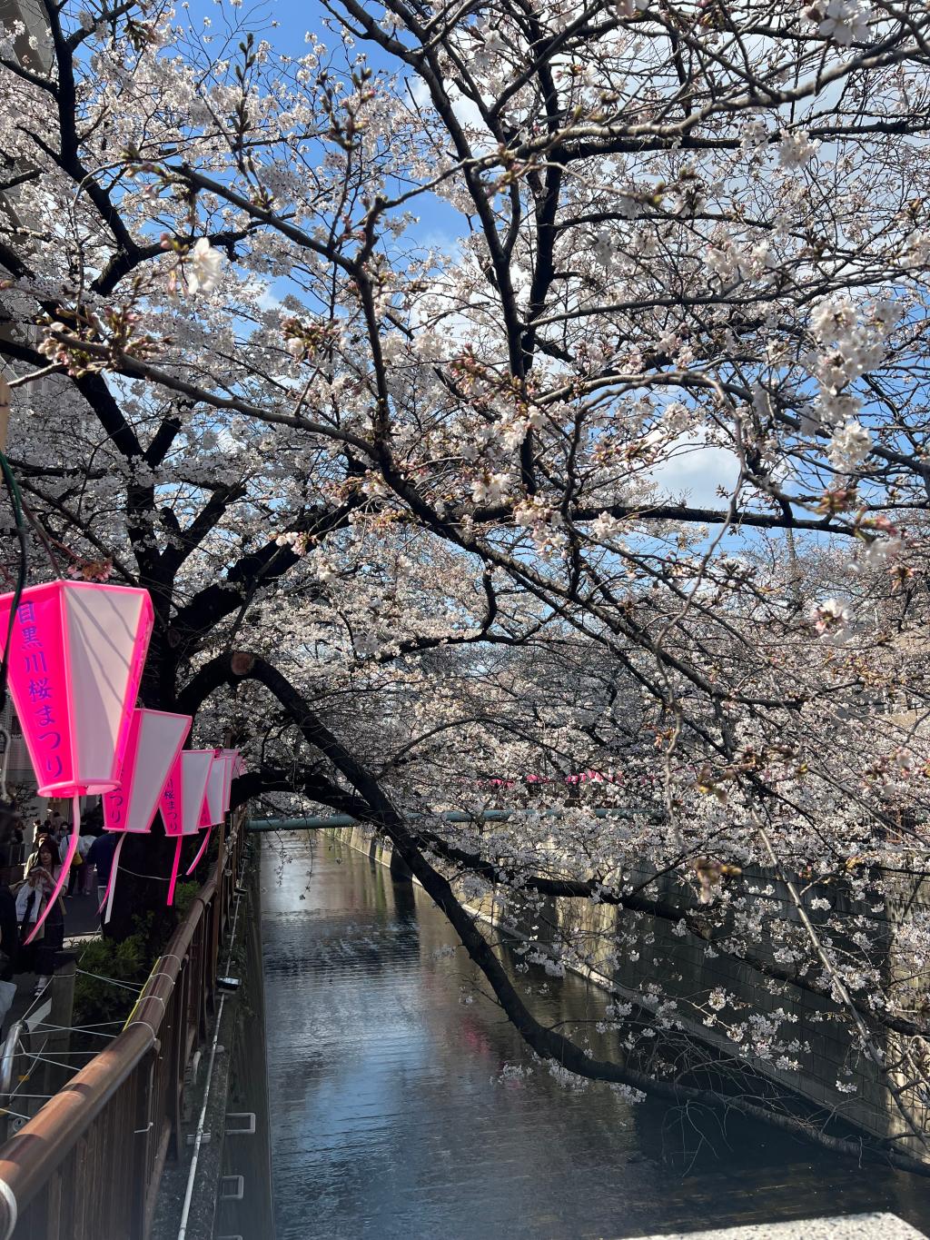 3月もあと少し